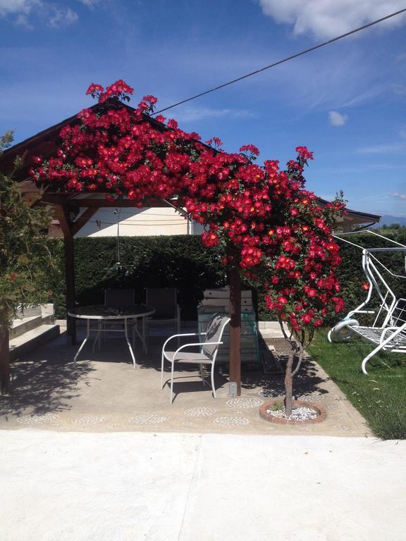 La Quercia Bed & Breakfast Cosenza Dış mekan fotoğraf